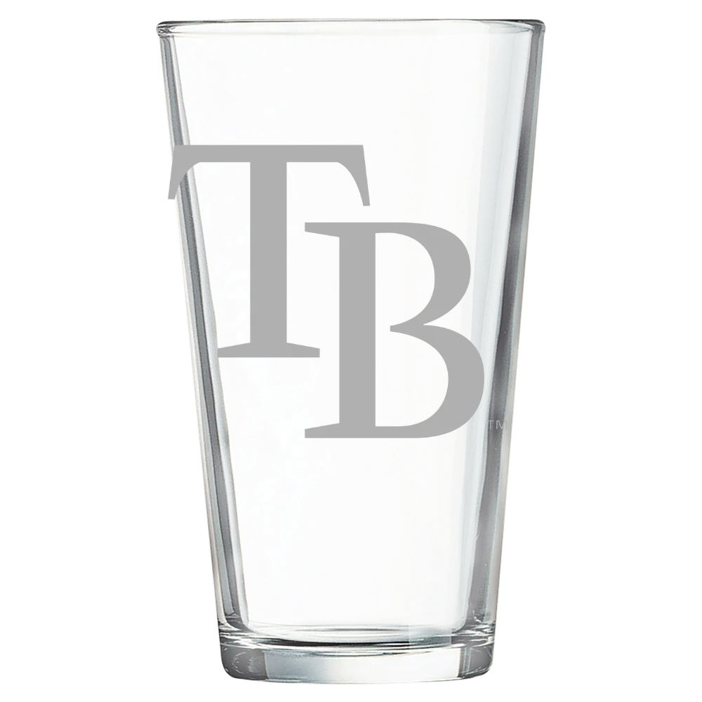 Tampa Bay Rays Polar Camel 16 oz. Pint Mixing Glass