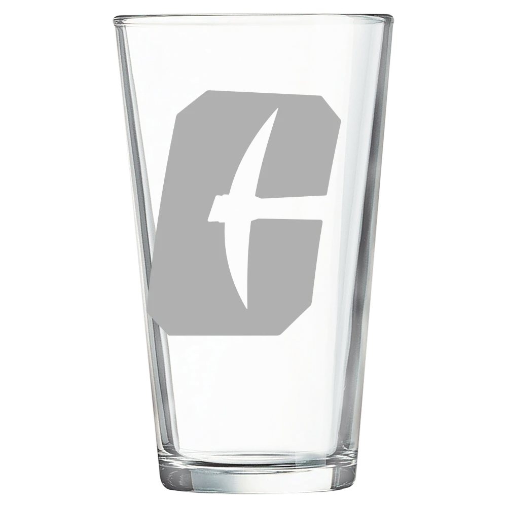 The University of North Carolina at Charlotte Polar Camel 16 oz. Pint Mixing Glass