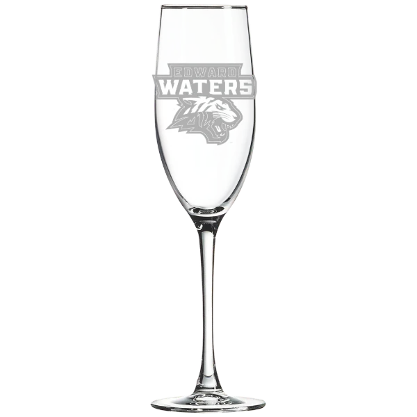 Edward Waters University Polar Camel 8 oz. Champagne Flute