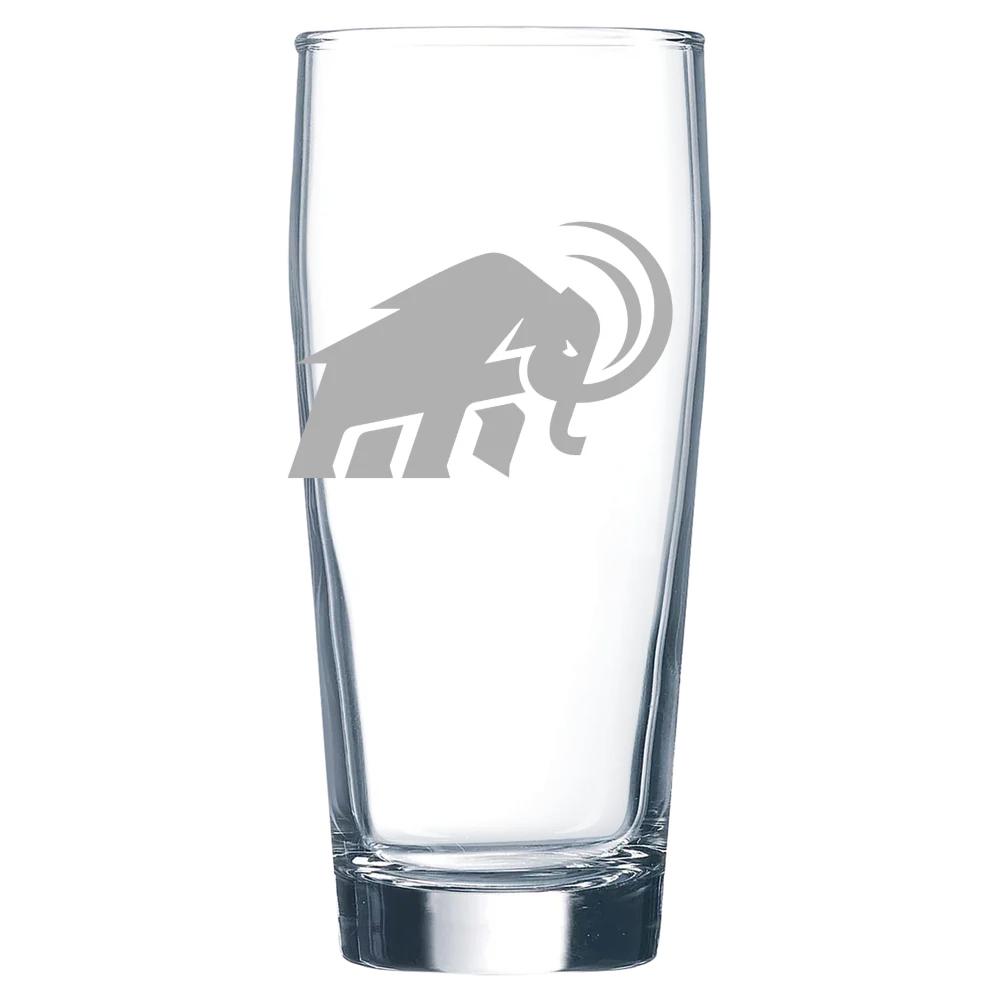 Amherst College Polar Camel 16 oz. Willi Becher Beer Glass