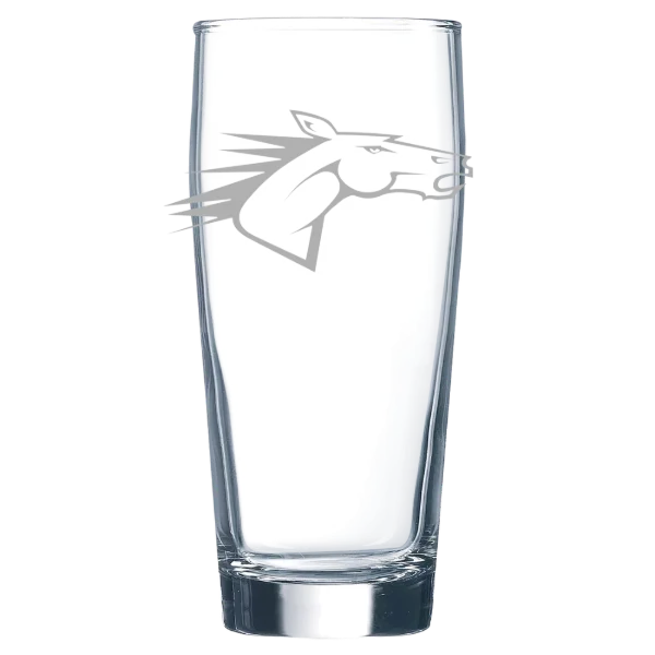State University of New York at Delhi Polar Camel 16 oz. Willi Becher Beer Glass