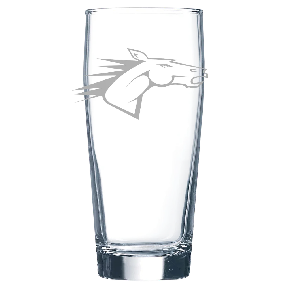 State University of New York at Delhi Polar Camel 16 oz. Willi Becher Beer Glass